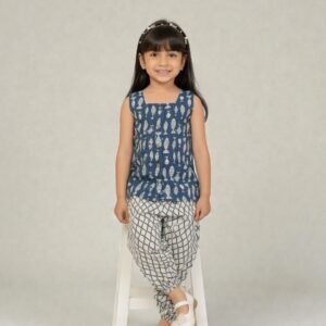 Fish print Co-ord set