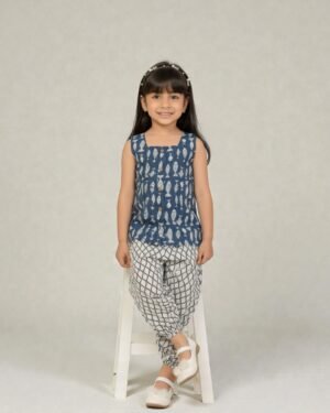 Fish print Co-ord set