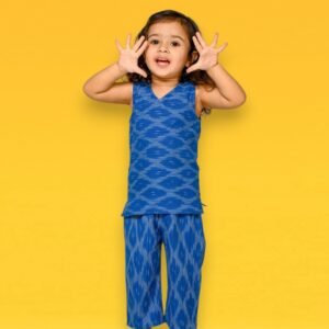 Ikkat Co-ord set